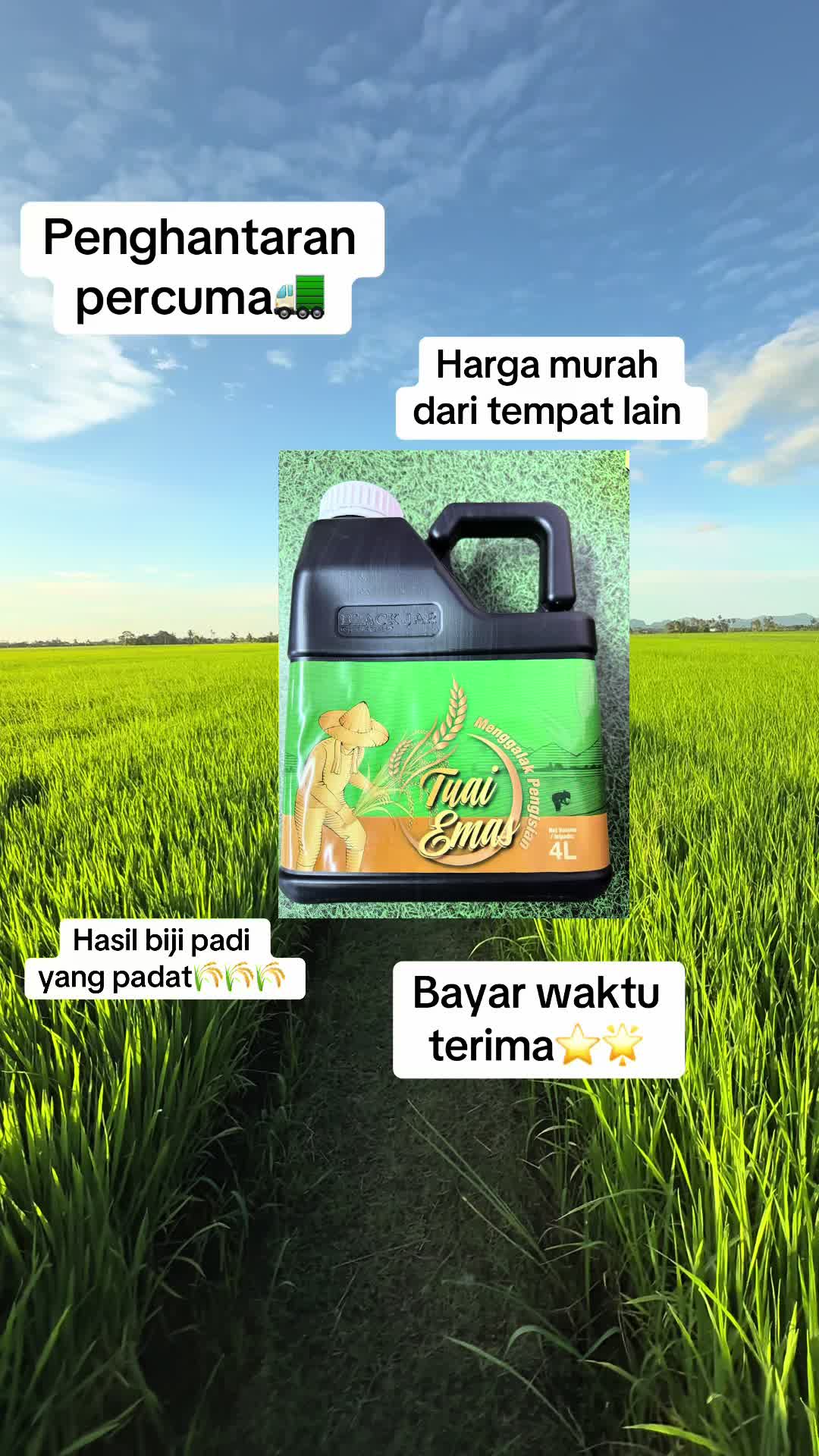 @🦄MentariUngu🕊️