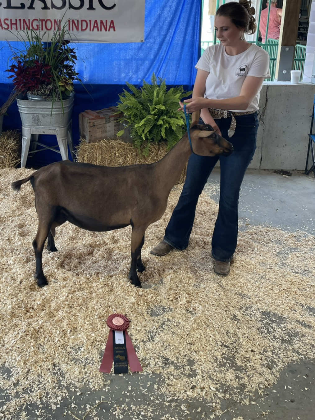 @Maple Leaf Livestock
