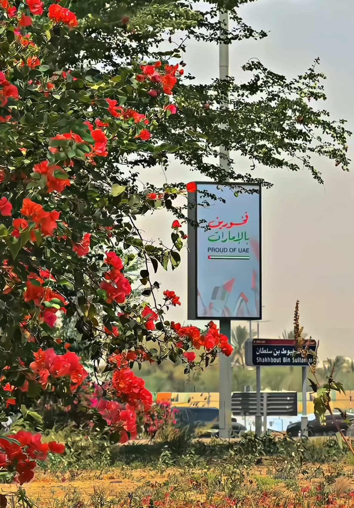 @Saqib Al Ain ๐ฆ๐ช