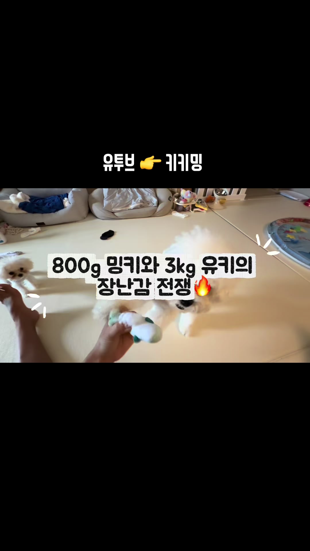 @jeju_kiki