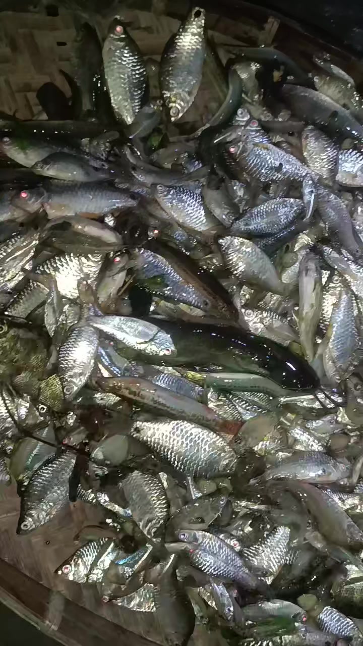 @আকলিমা আক্তার9999