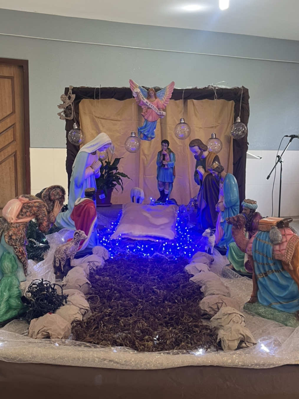 @clara 🇻🇦