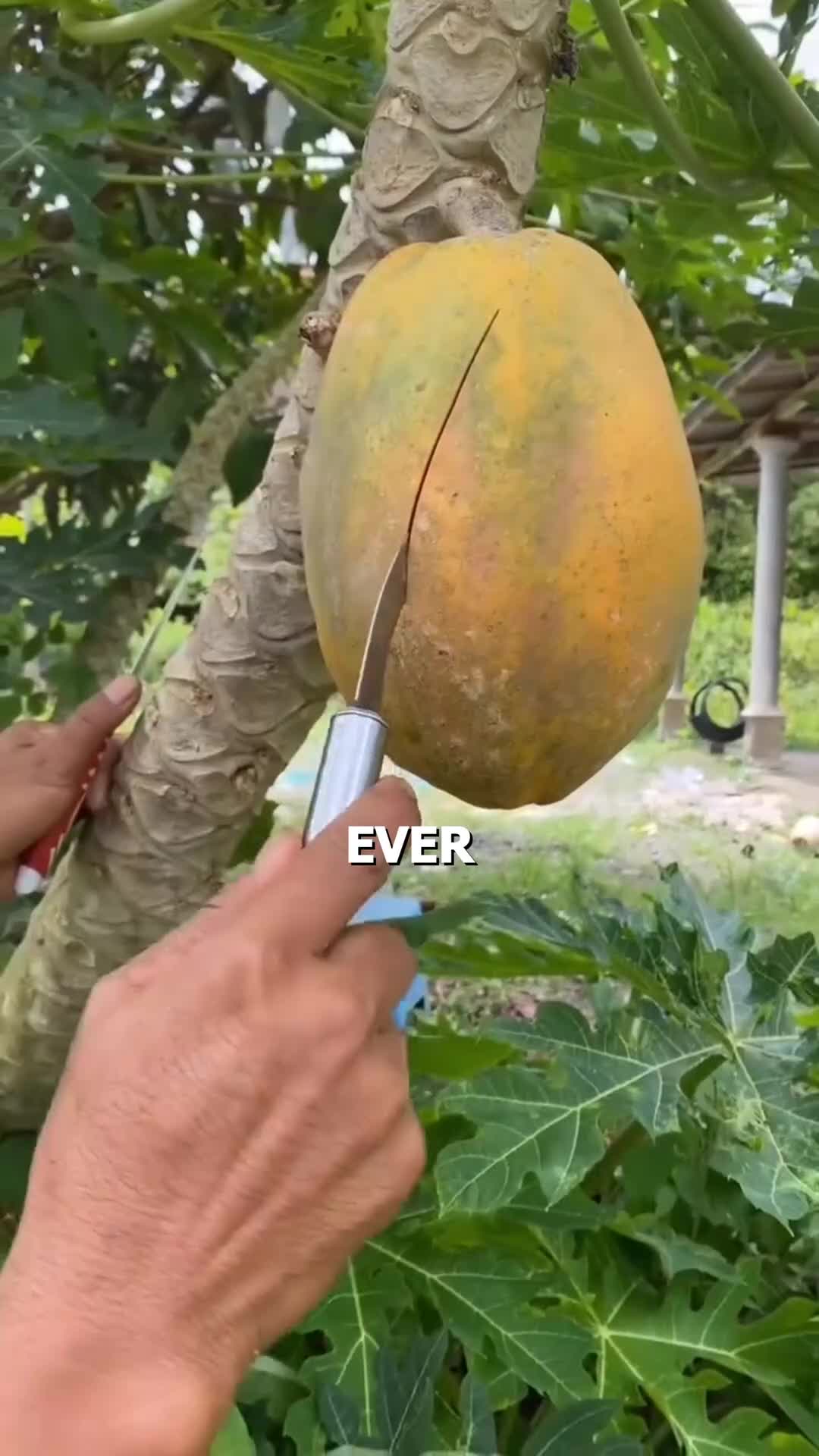 @askdocdoc