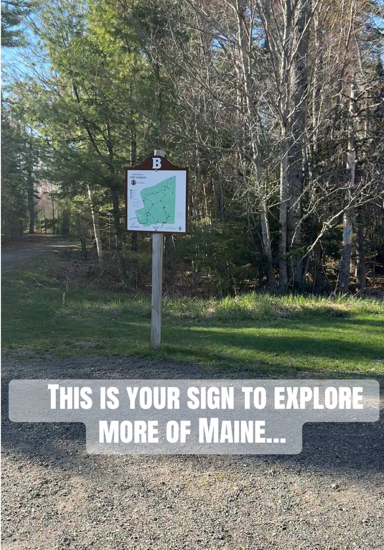 @Andrea Greeno/ MAINE REALTOR