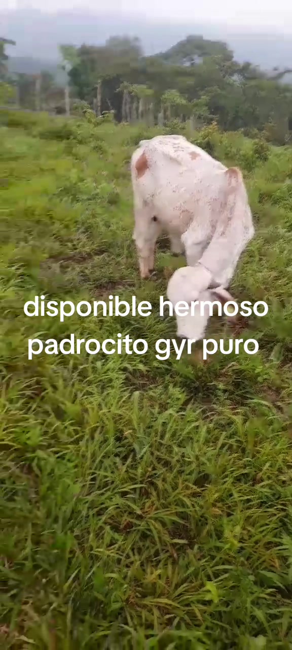 @maykel Mej&iacute;a