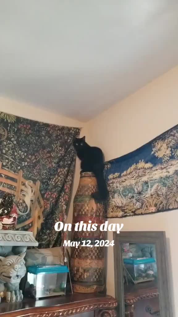 @Mommykins