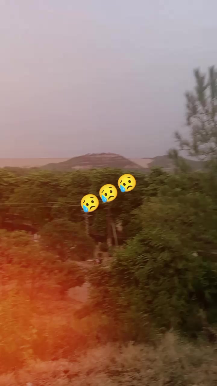 @🦍گوریلا🦅🦍