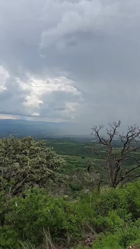 @memohuerta