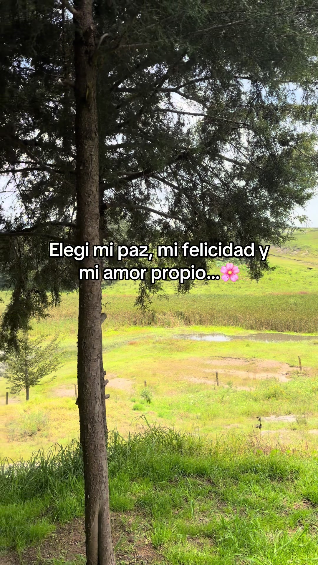 @Keni🌻