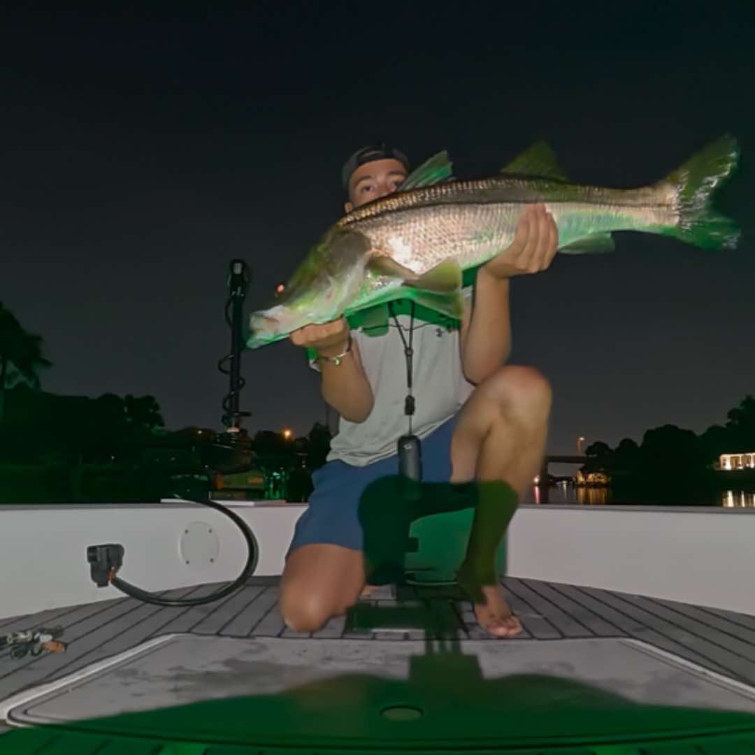 @Knot.Your.Average.Boat