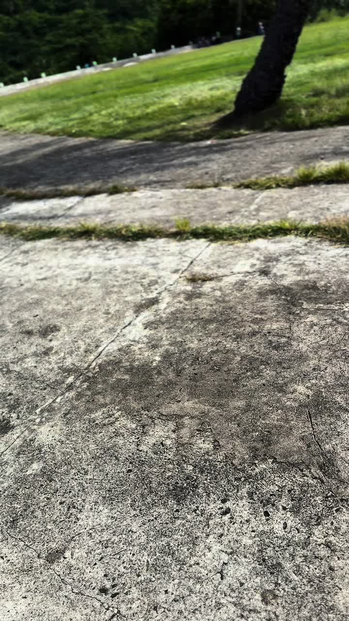 @dwarNz 🧿