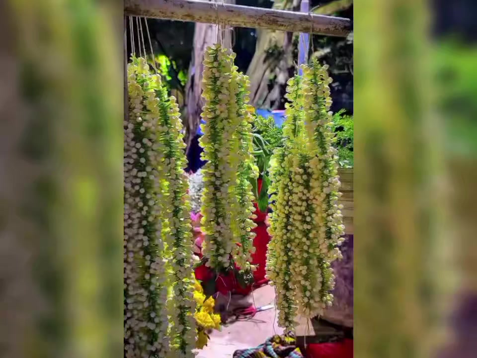 @সুব্রত ভাই👑 ঠাকুরগাঁও কিং