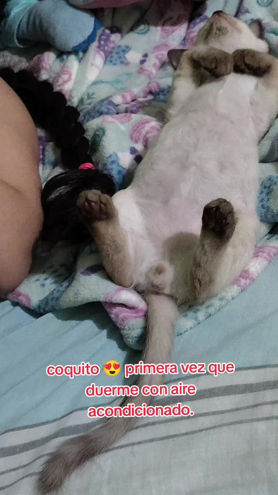 @Charlotte🐕&zwj;🦺🐈🐕🦬🐐🐎🐄🐒
