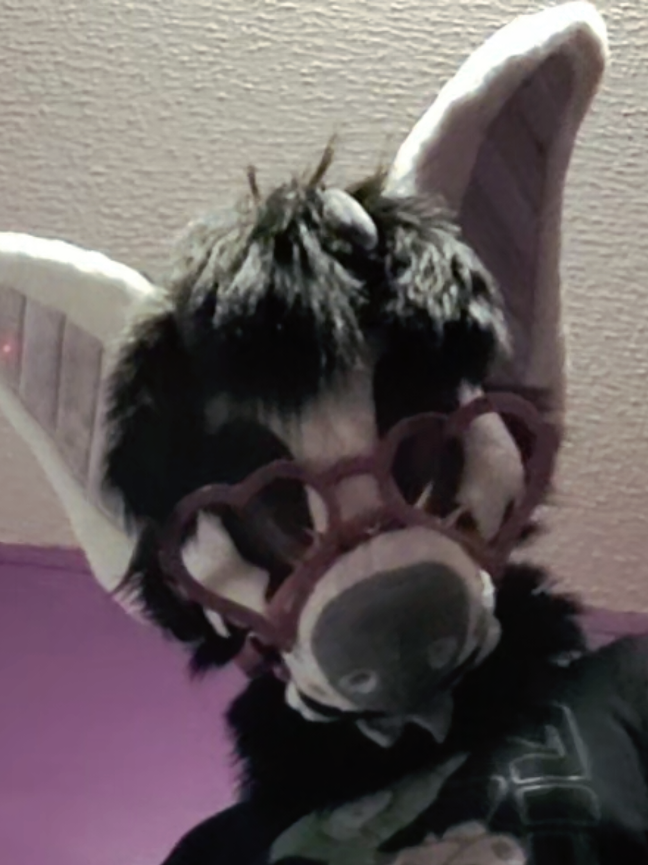 @🎃💜TOONEY THE HELLHOUND💜🎃