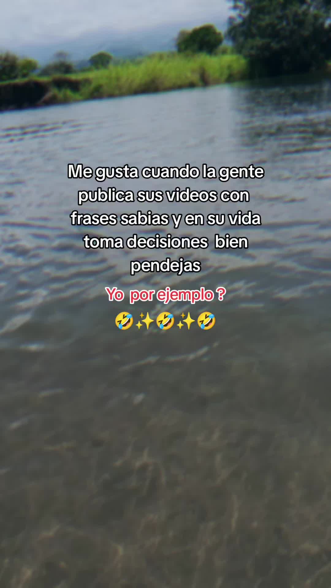 @Flor 🌸