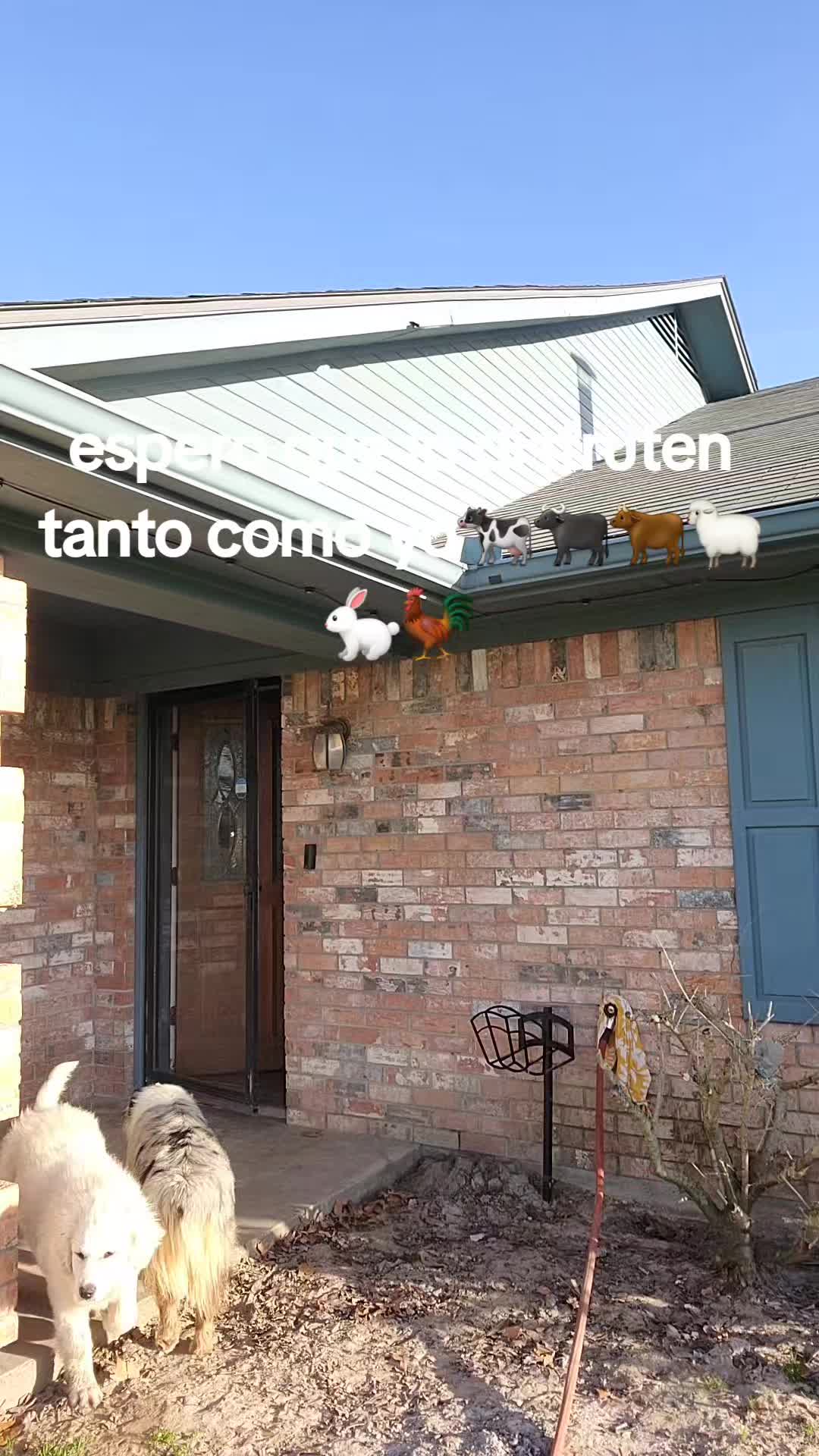 @mayte.famersRanch🐄🐃🐂🐑