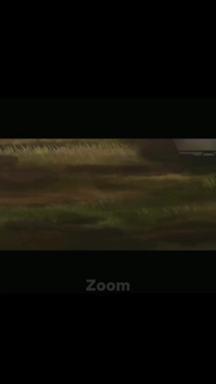 @Zoom