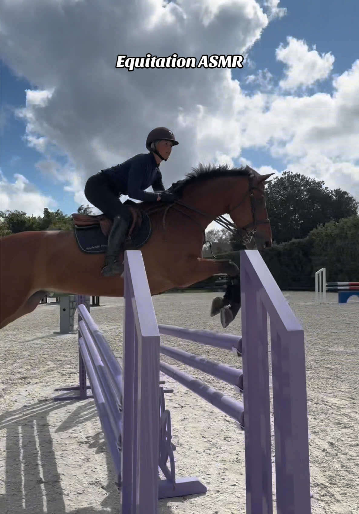 @Dalman Jump Co