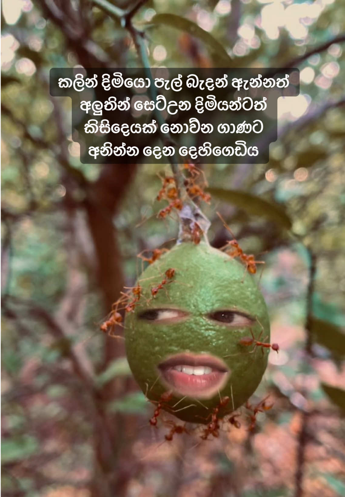 @Dunnama_kannam_kala_duwannam🐷