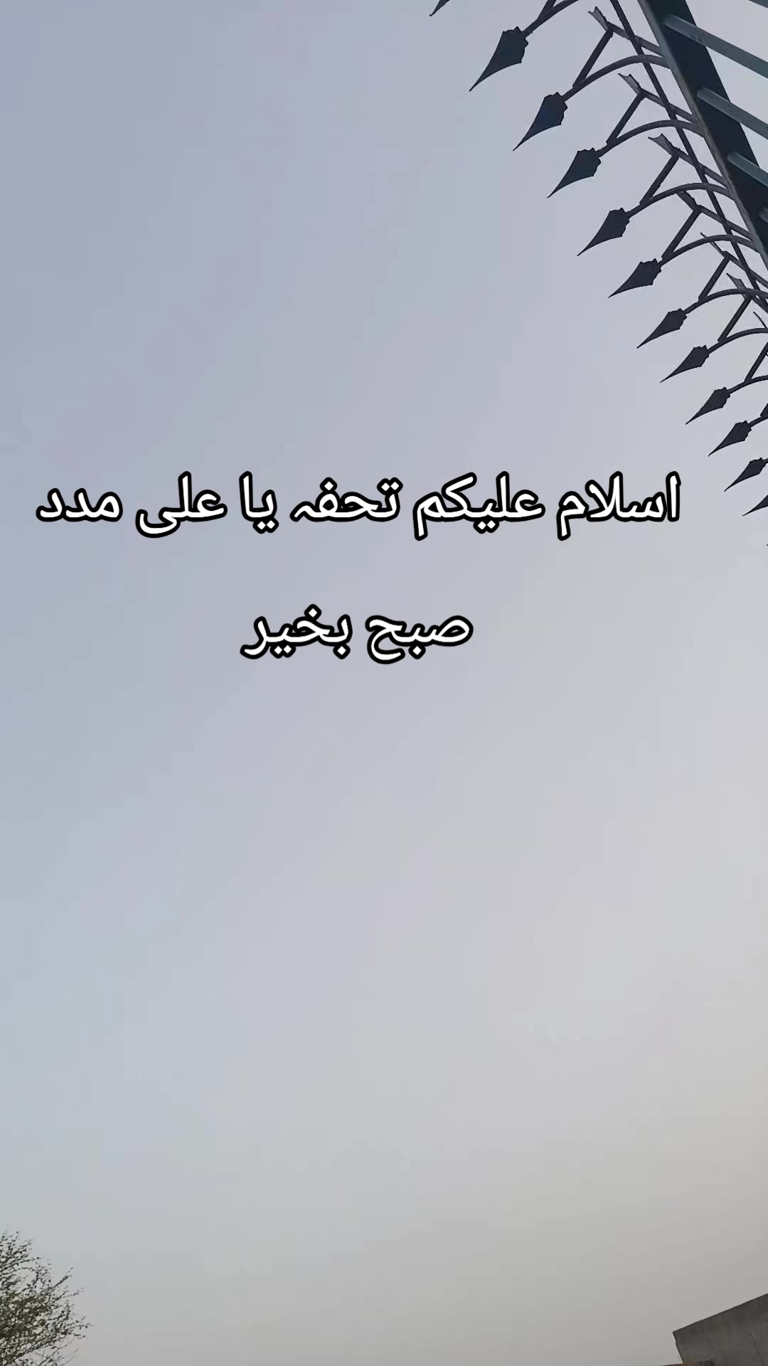 @Syed amir gillani 121472