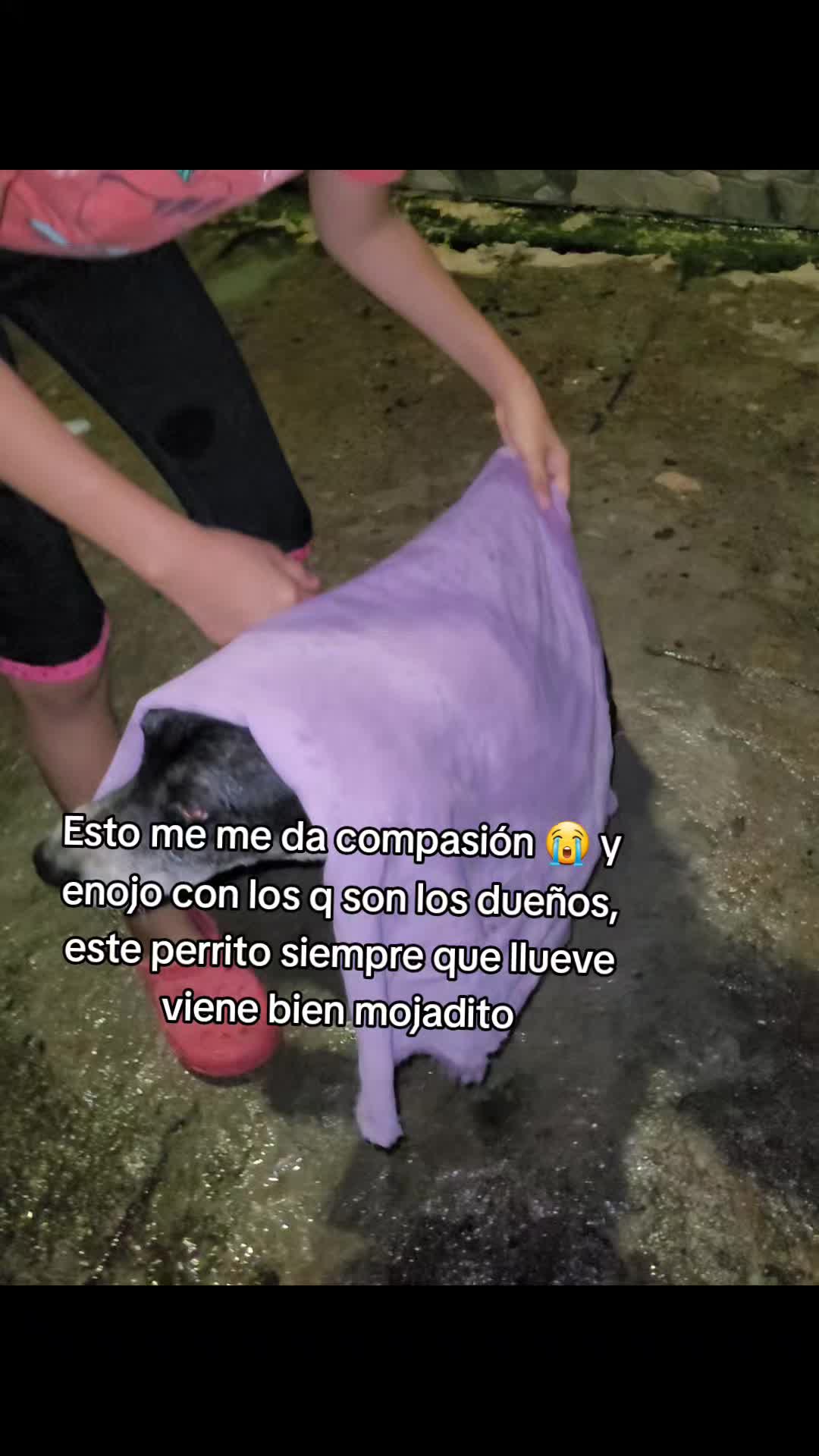 @𝕃𝕚𝕤𝕤 ℝ𝕖yes🇸🇻
