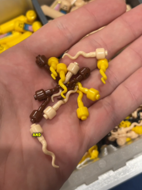 @BRICKLOVER BRAD