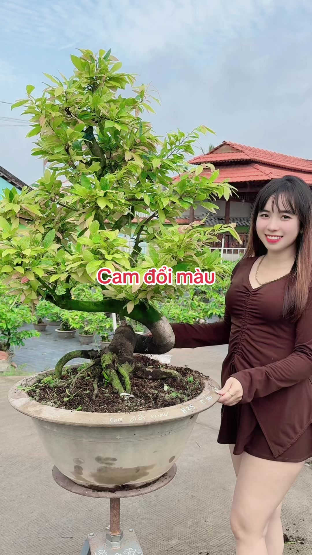 @Chichchoebong79