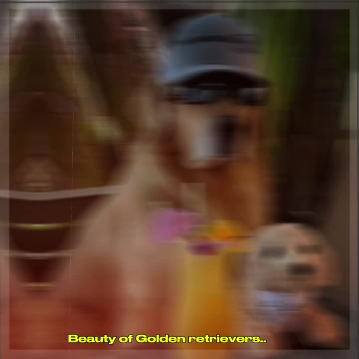 @M00NL1T02