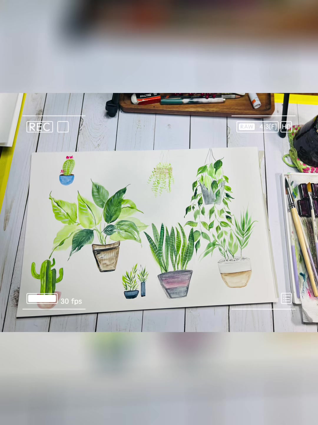 @Juniper Watercolors