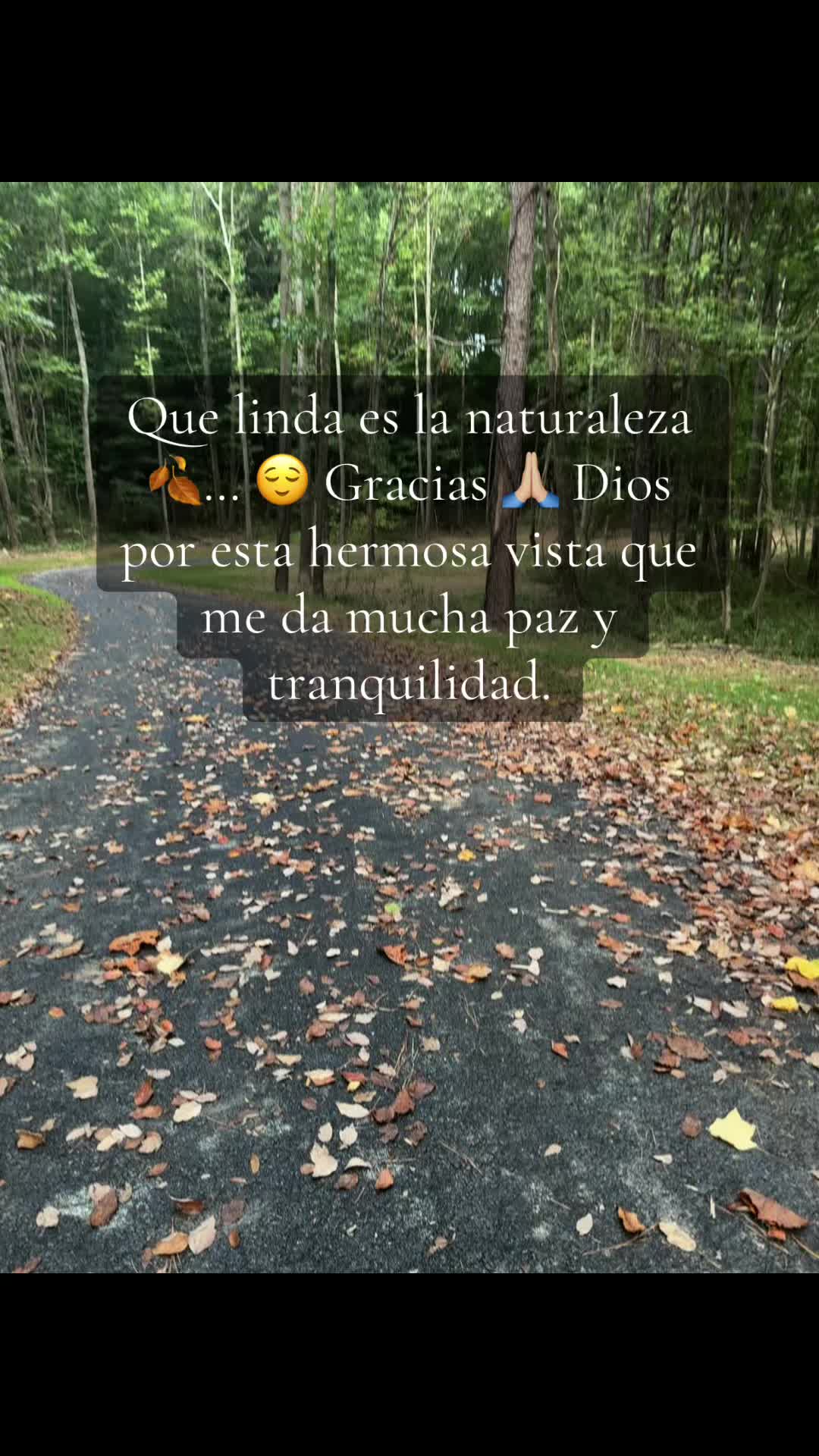@✨Roxxi💫