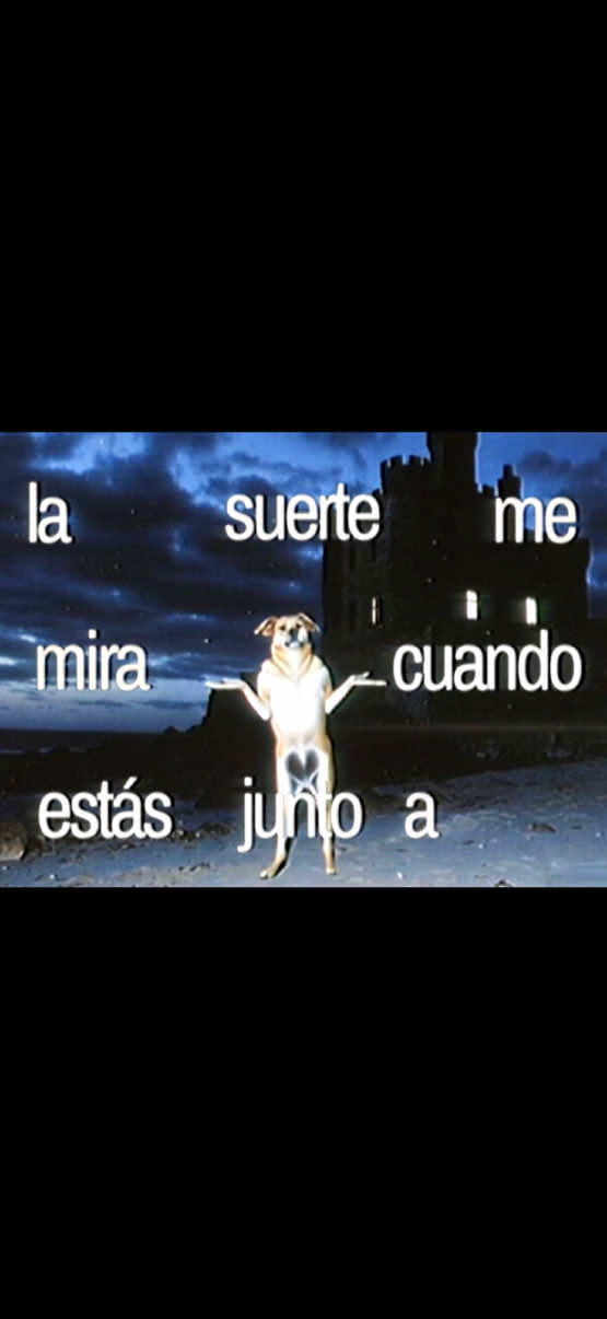 @jason