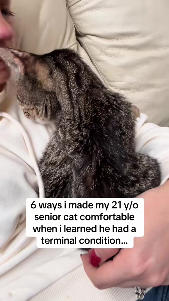 @Luke & Leia Catwalker