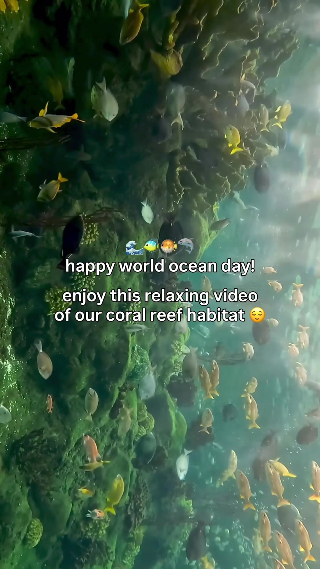 @The Florida Aquarium