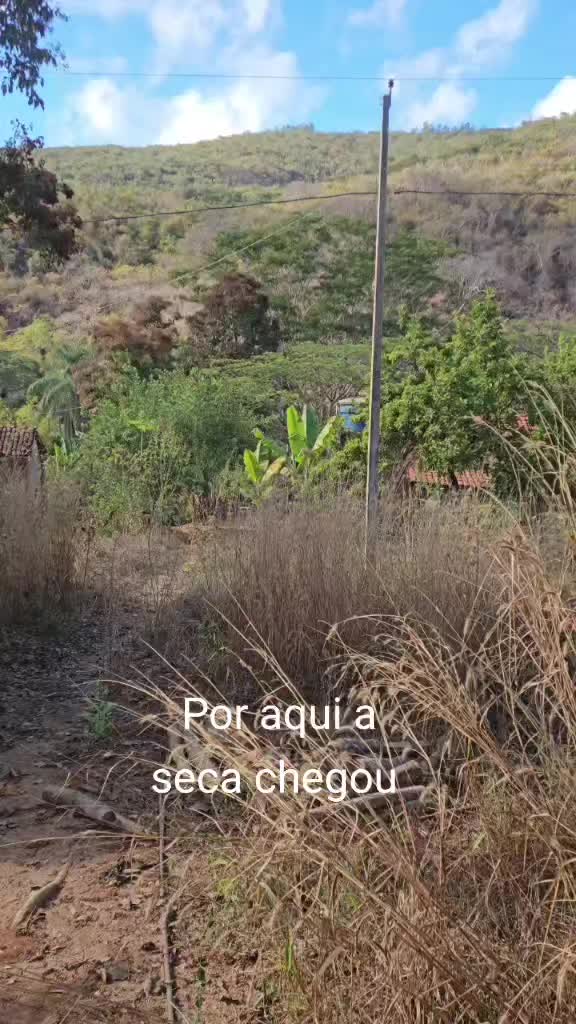 @zemarcos