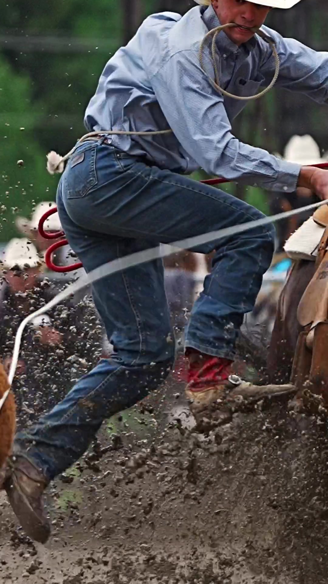 @Hanginghorses