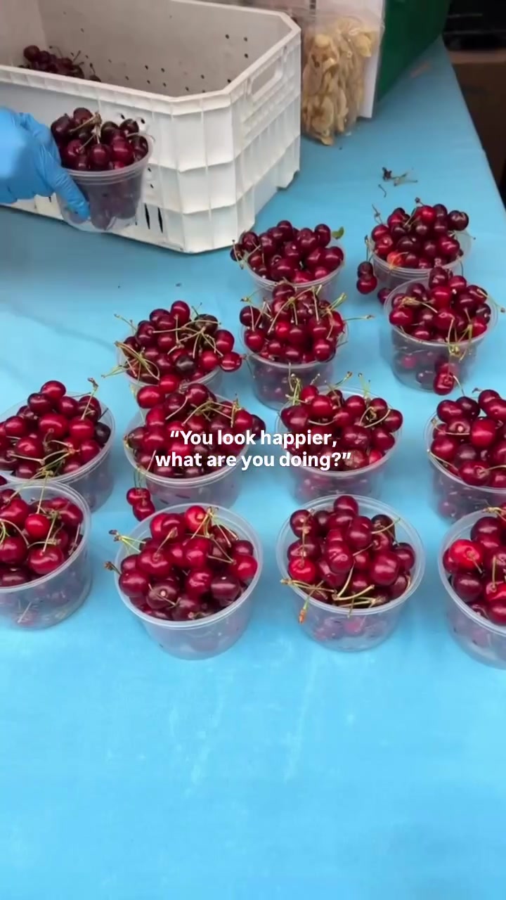 @wearebrightland