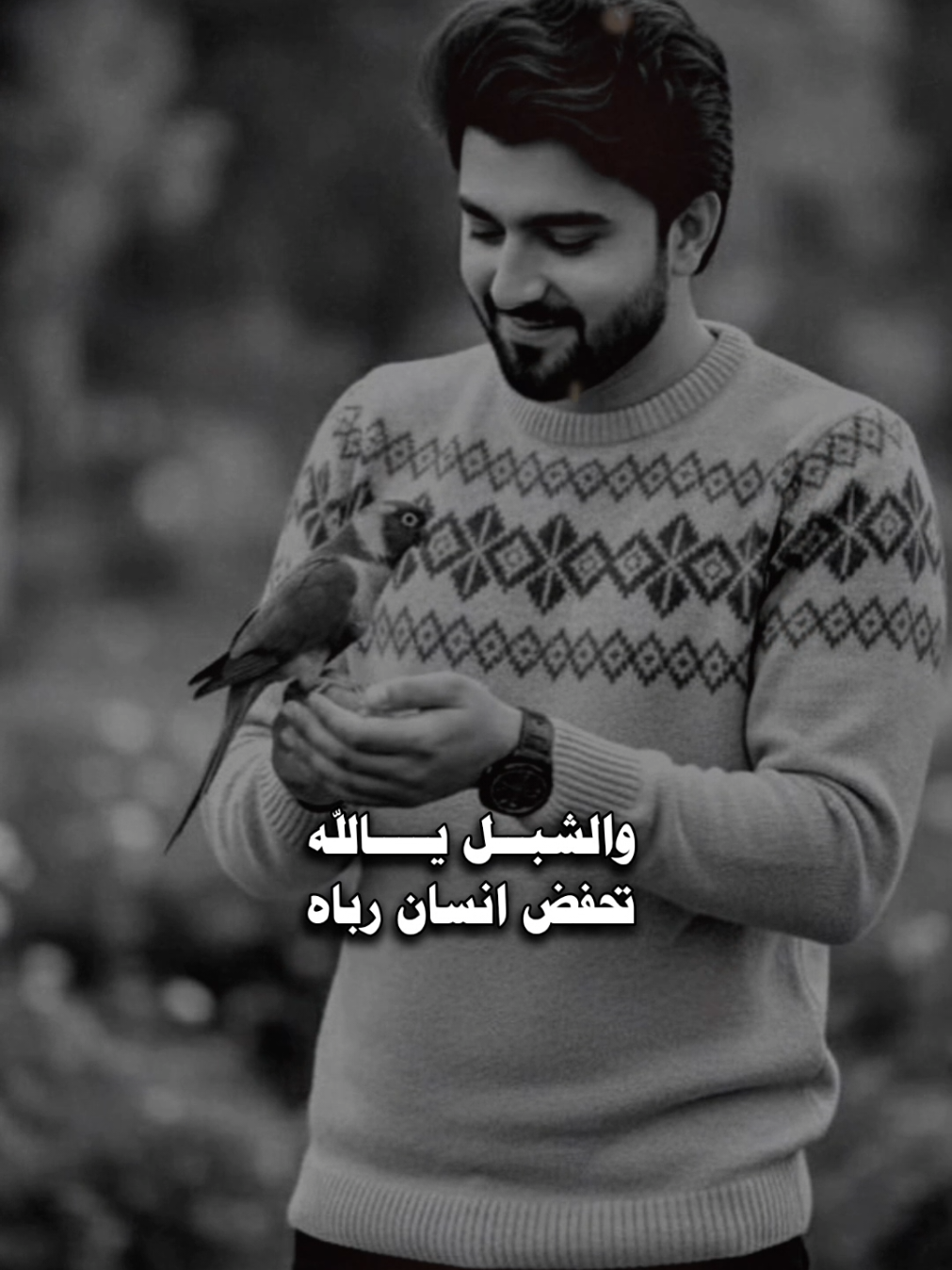 @المصـمم شامخ𝑆𝐻𝐴𝑀𝐾𝐻