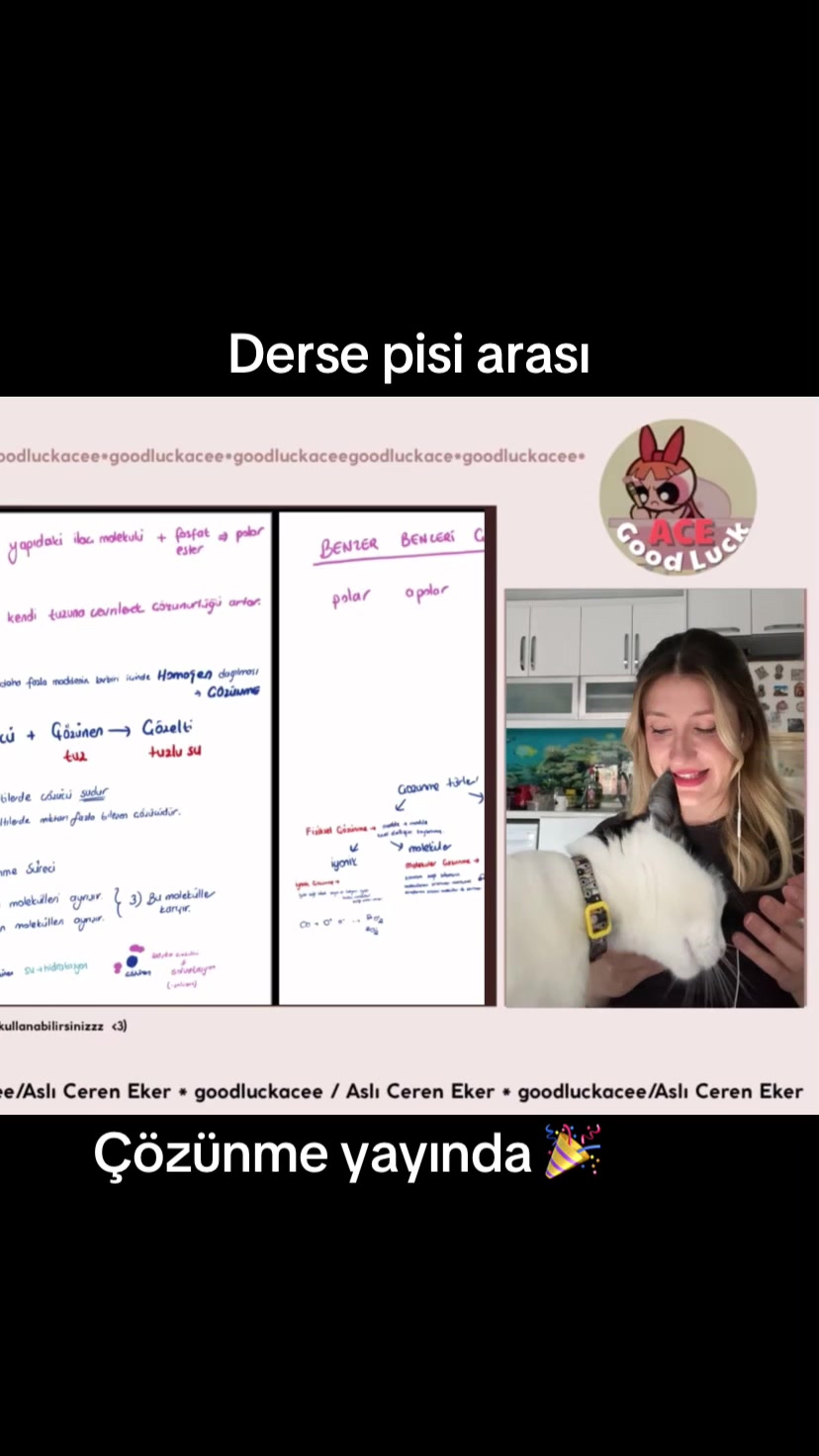 @Aslı Ceren Eker