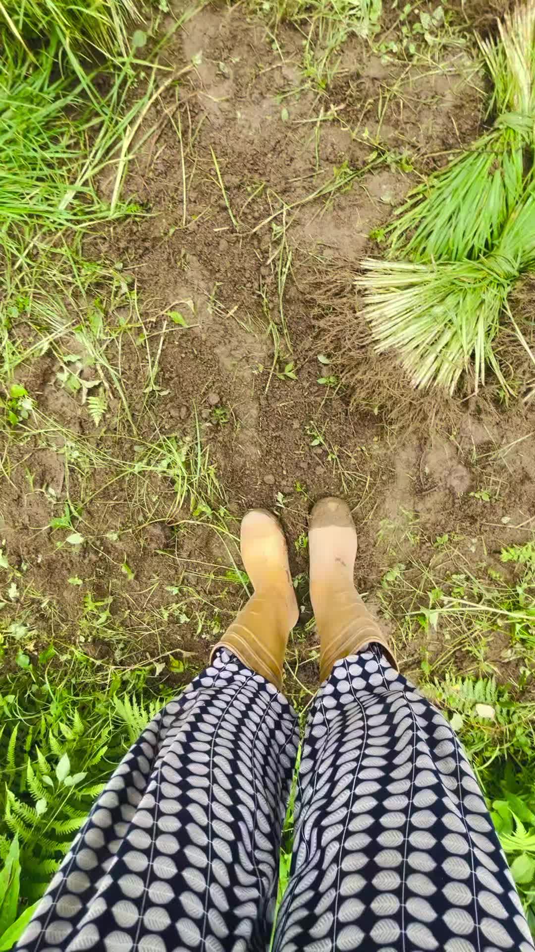 @T&uacute; L&aelig;s&atilde;💔🕊️