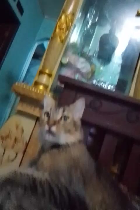 @binong2616