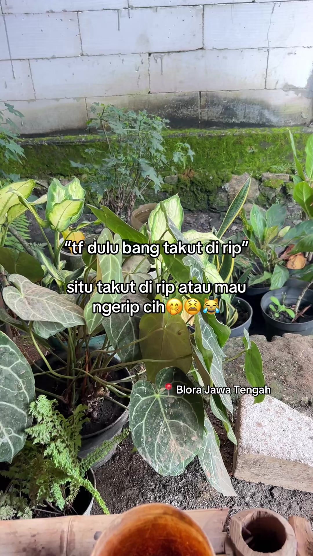 @Nipon Boss Muda