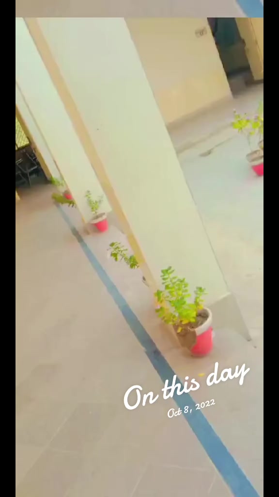 @alichagata