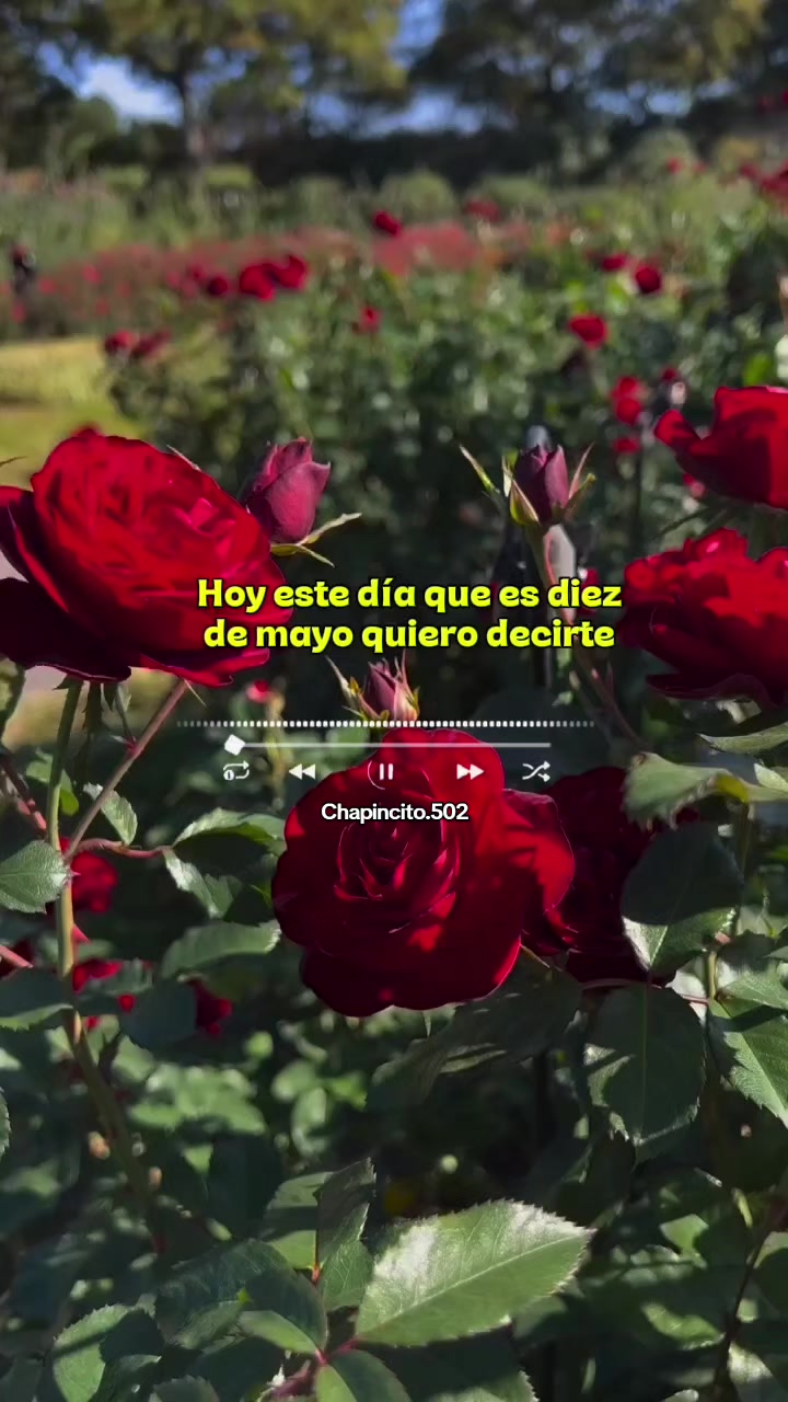 @~Chapincito.502~