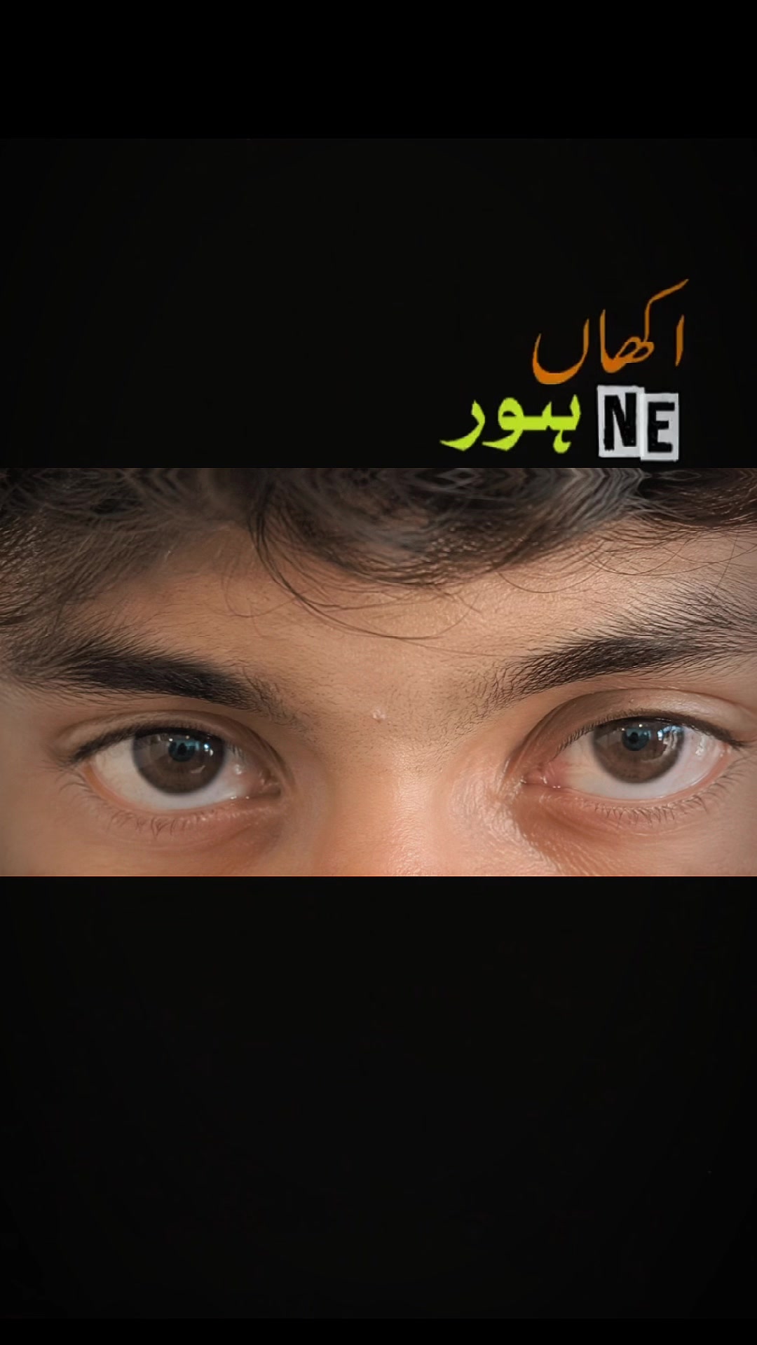 @AJK ENZO