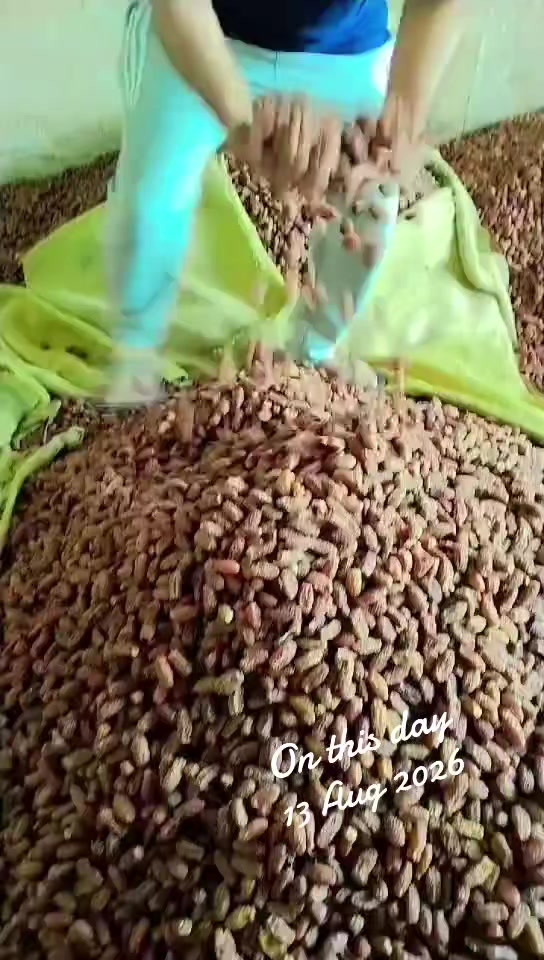 @tipu
