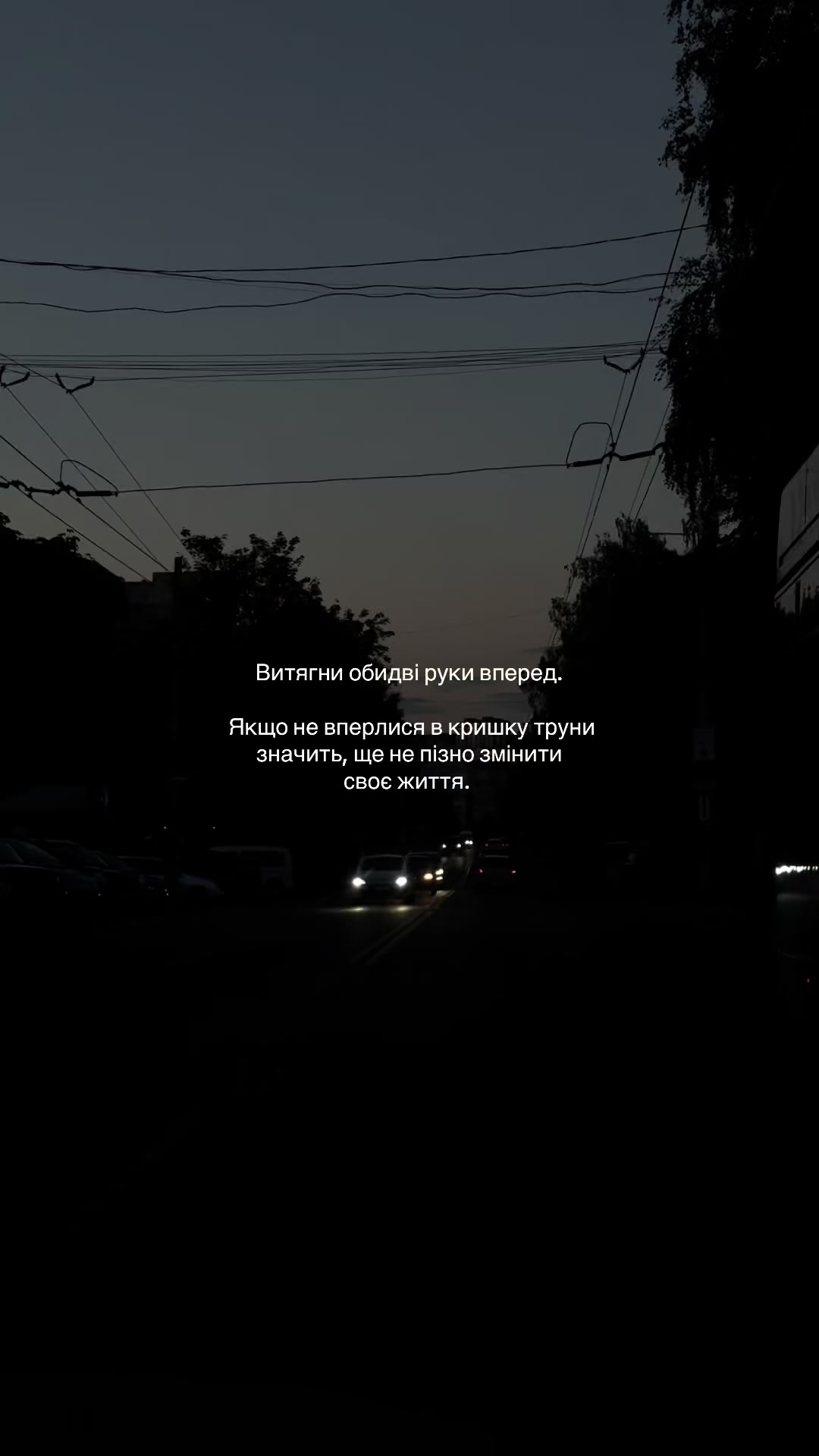 @𝐯𝐞𝐥𝐯𝐞𝐭𝐛𝐫𝐮𝐧💘