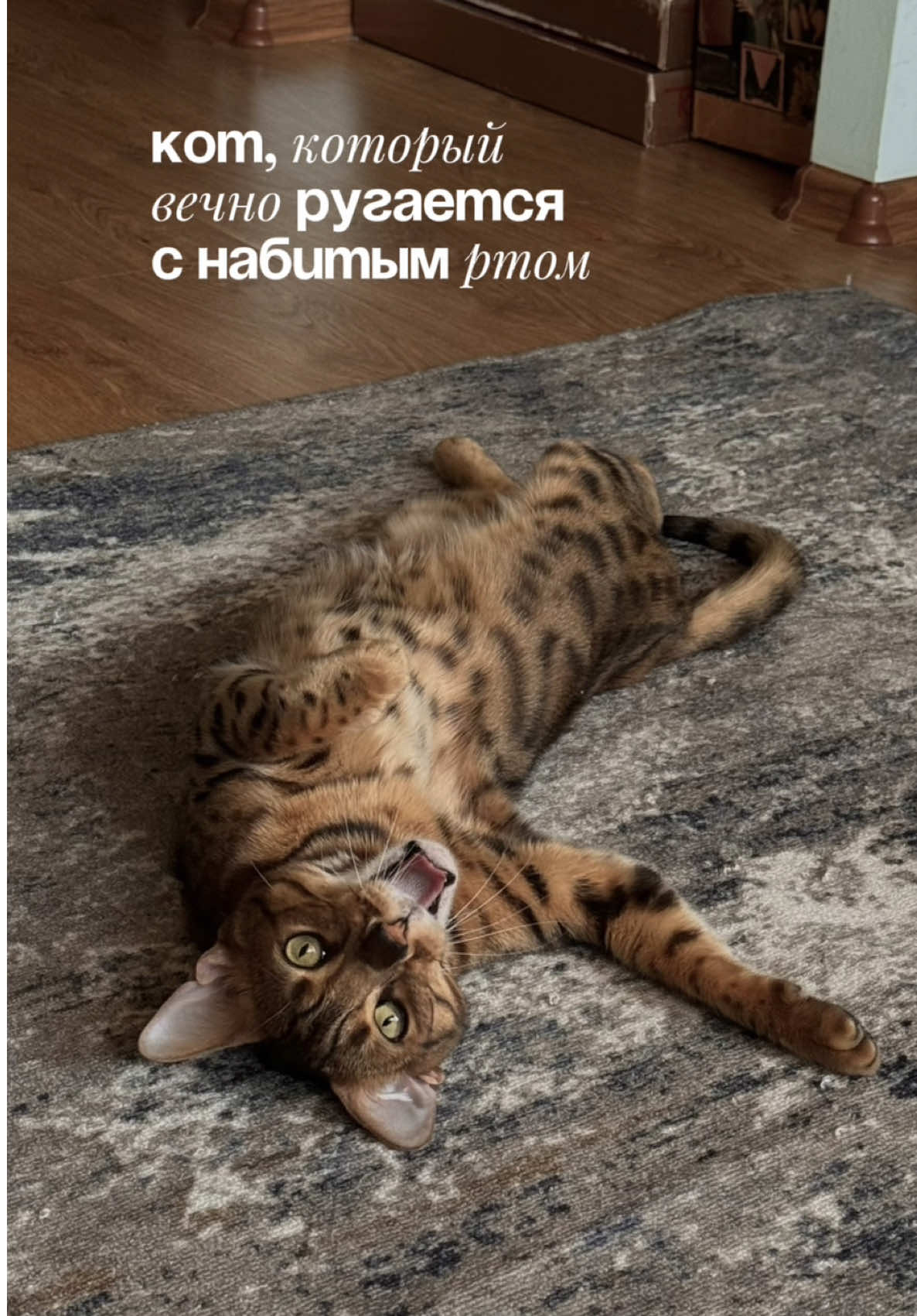 @Алина ♡ тг каефлаеф