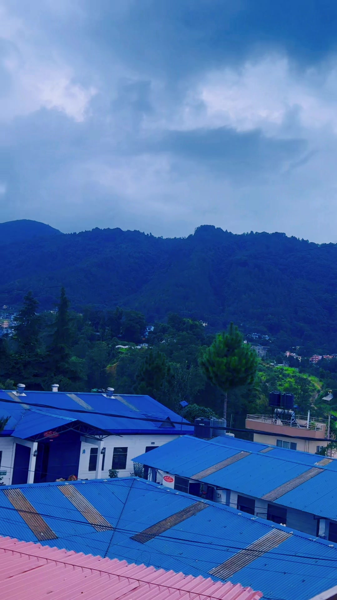 @Meena Tamang