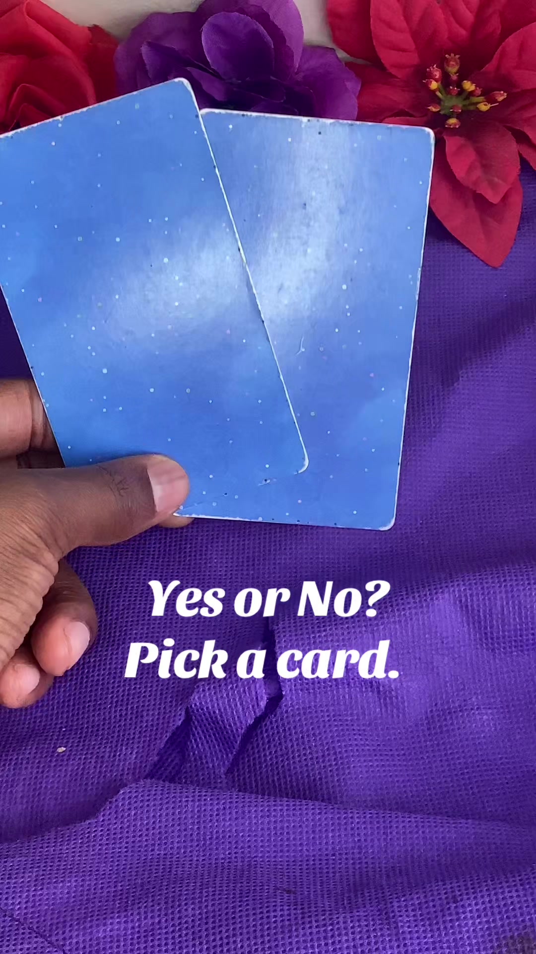 @Lavender Goddess Tarot 🔮