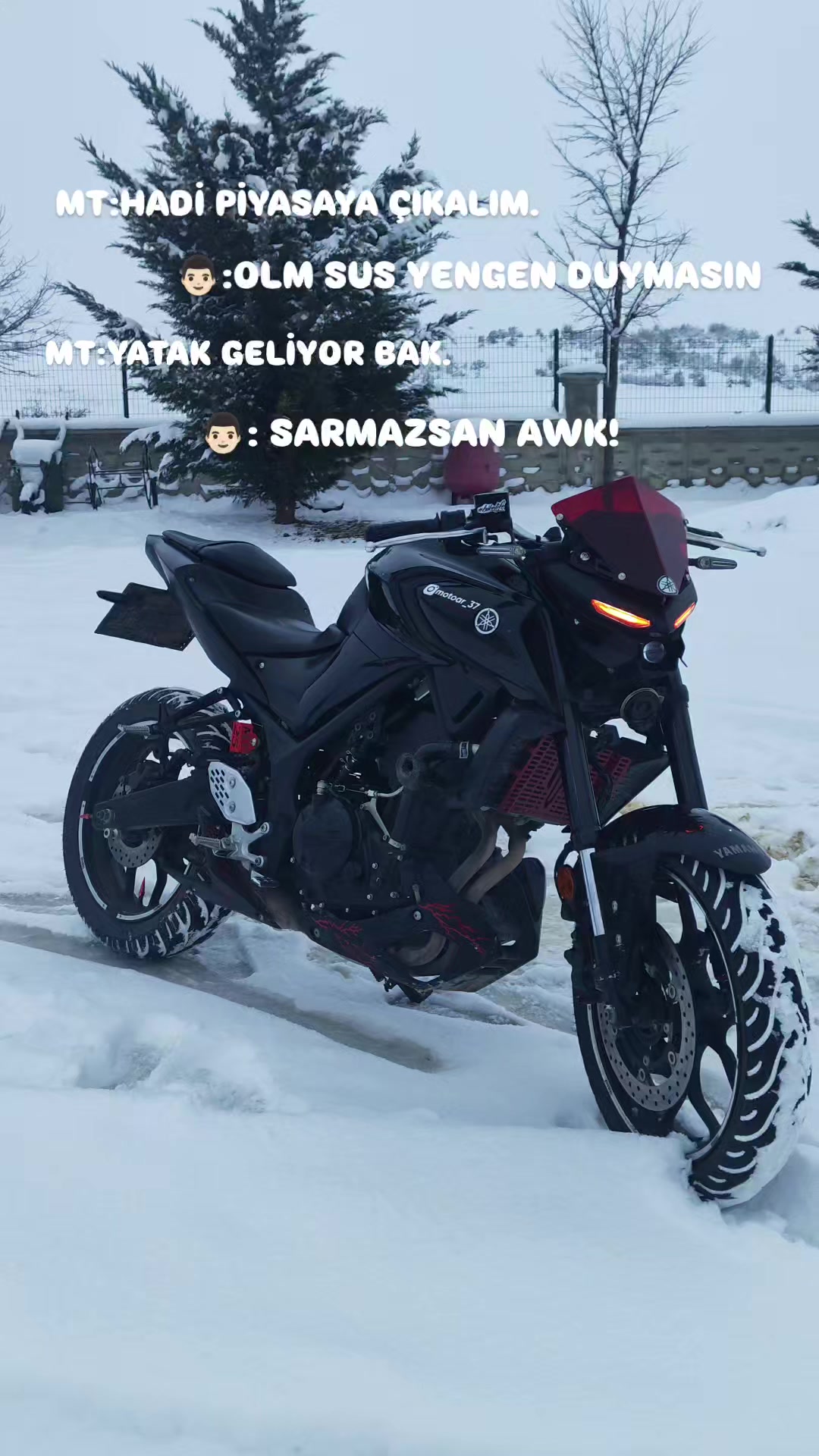 @MOTOAR37